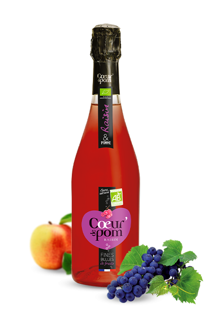 Fines Bulles de Fruits Raisins bio 75cl