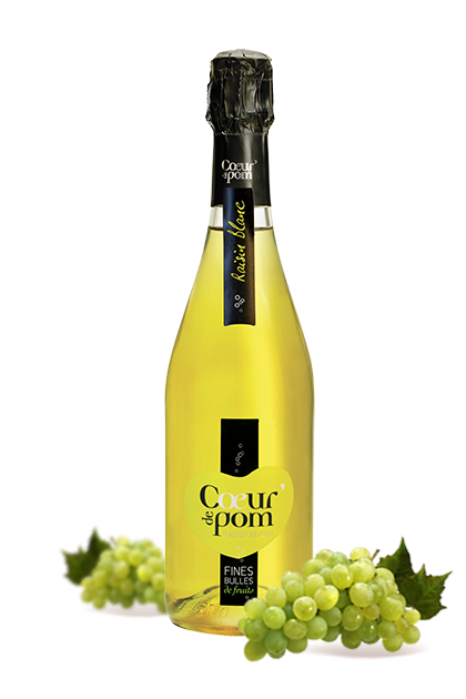 Fines Bulles de Fruits 100% Raisin Blanc