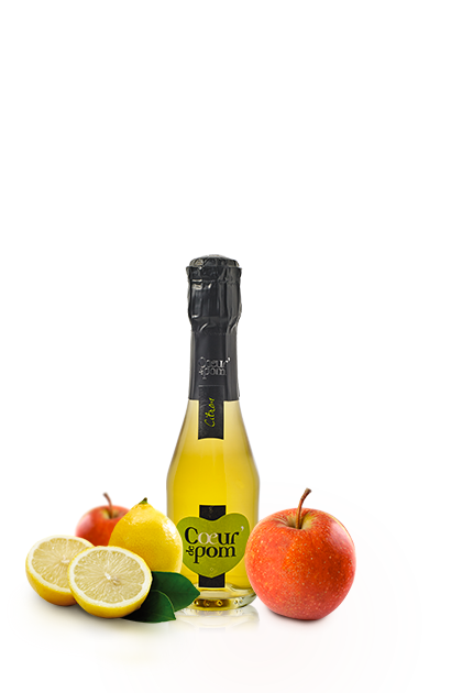 Fines Bulles de Fruits Citron - 20cl