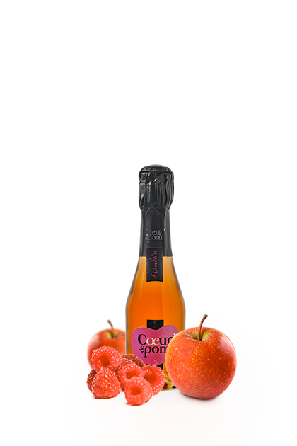 Fines Bulles de Fruits Framboise - 20cl