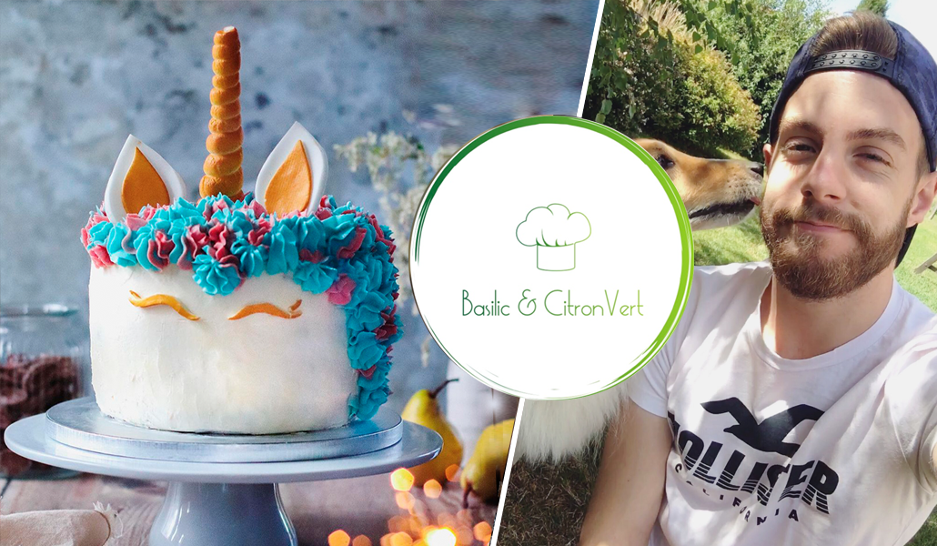 gateau-licorne-conseil-nils-basilicetcitronvert