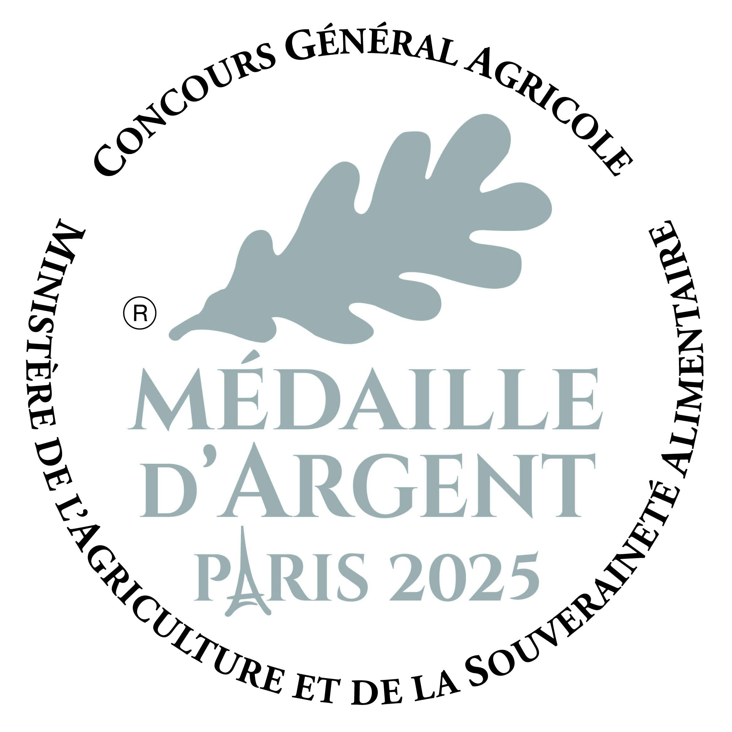 MEDAILLE ARGENT ai 2025