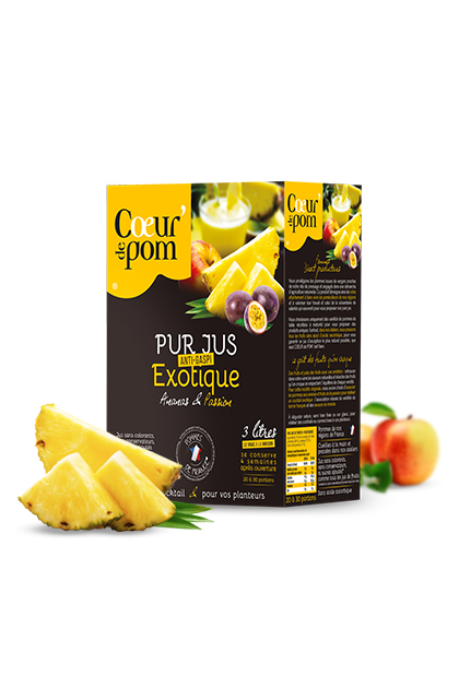 Pur jus de Fruits Exotique - Bag In Box 3 L