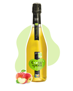 Fines bulles de pommes BIO