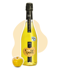 Fines bulles de pommes Reinette Clochard