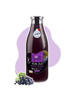 Pur Jus 100% Raisin