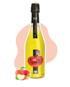Fines Bulles de Fruits Pomme réemployable 75 cl