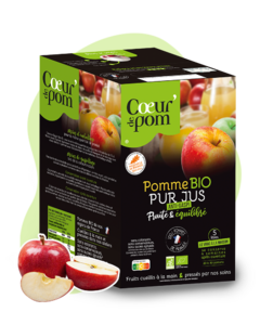 Pur jus de Pommes BIO Bag In Box 5L